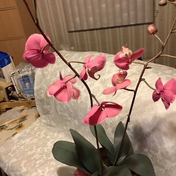 Artificial Tropical Exotic Pink Orchid Plant 30” height  25” base circumference - Picture 5 of 12